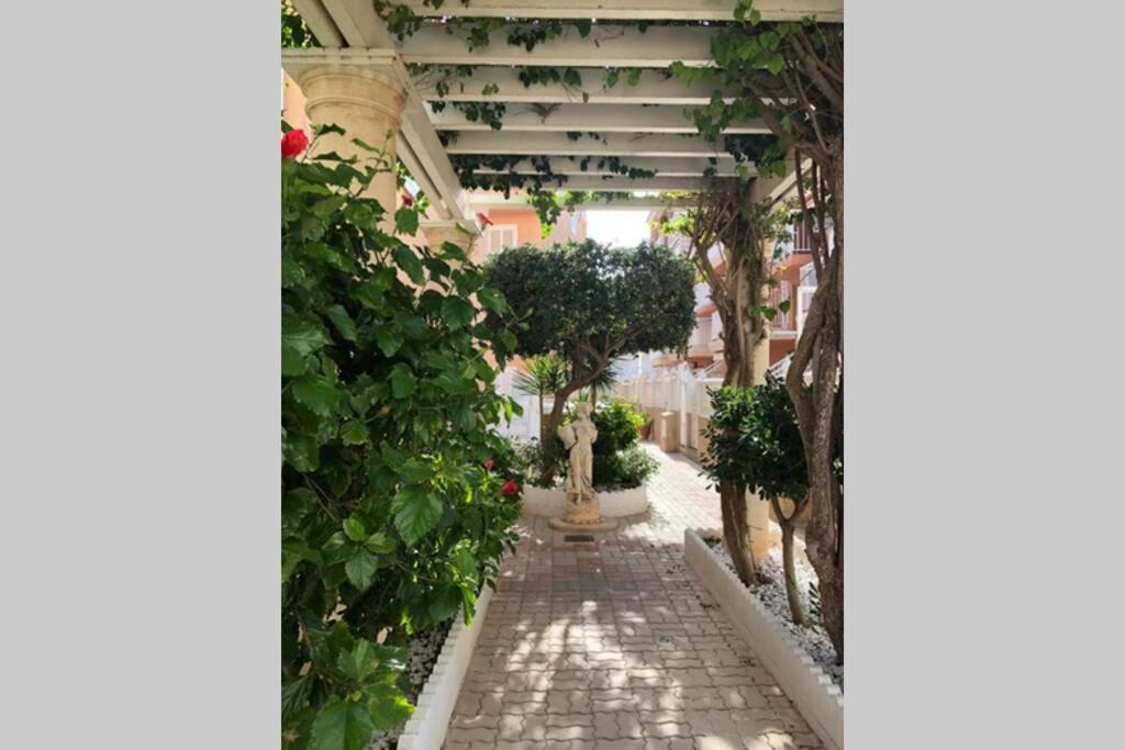 Beach Dream Apartment La Mata  Ngoại thất bức ảnh